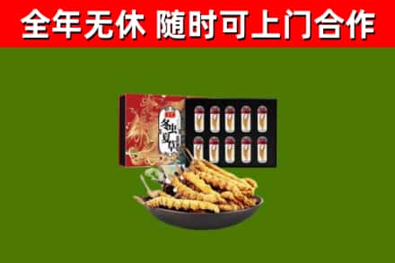 洛龙区回收冬虫夏草价格
